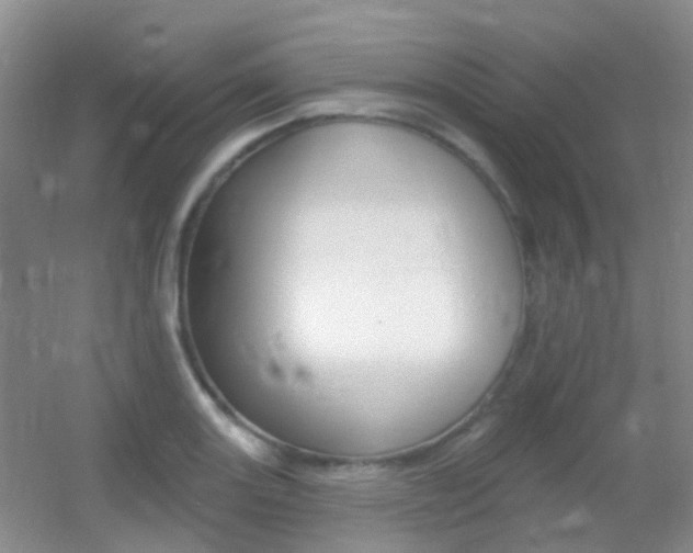 X0000055521131200508120815