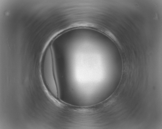 X0000055521132200508120815