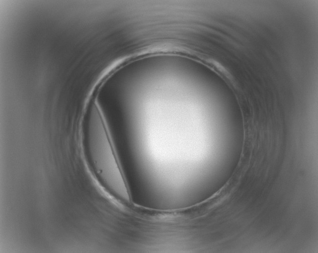 X0000055521134200508120815