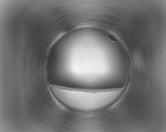 X0000055521137200508120815