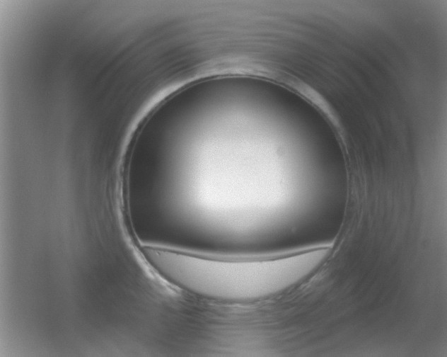 X0000055521144200508120815