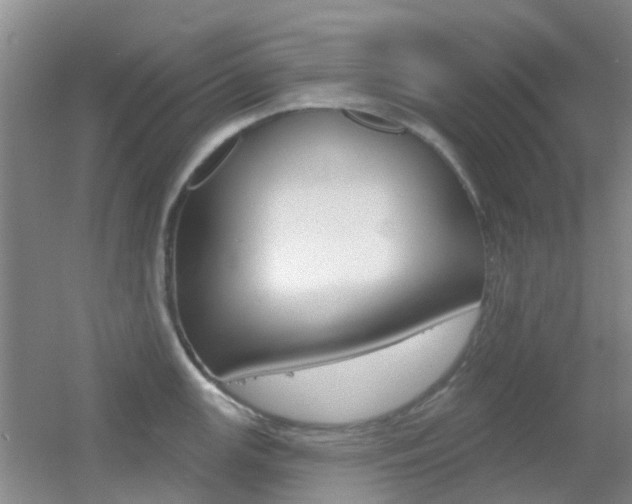 X0000055521147200508120815