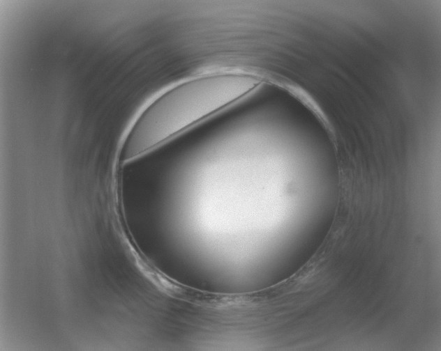 X0000055521148200508120815