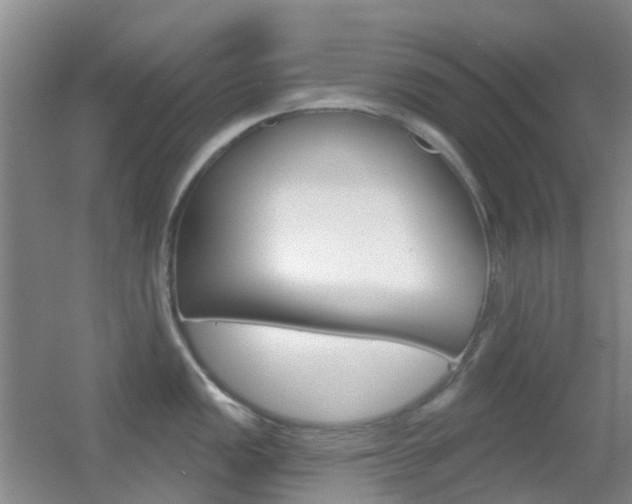 X0000055521149200508120815