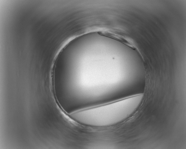 X0000055521151200508120815