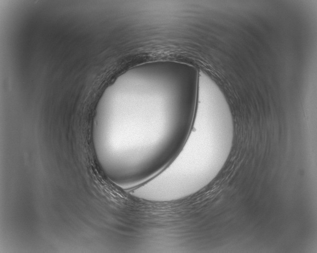 X0000055521153200508120814
