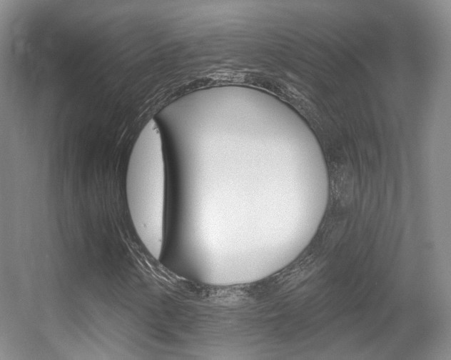 X0000055521154200508120814