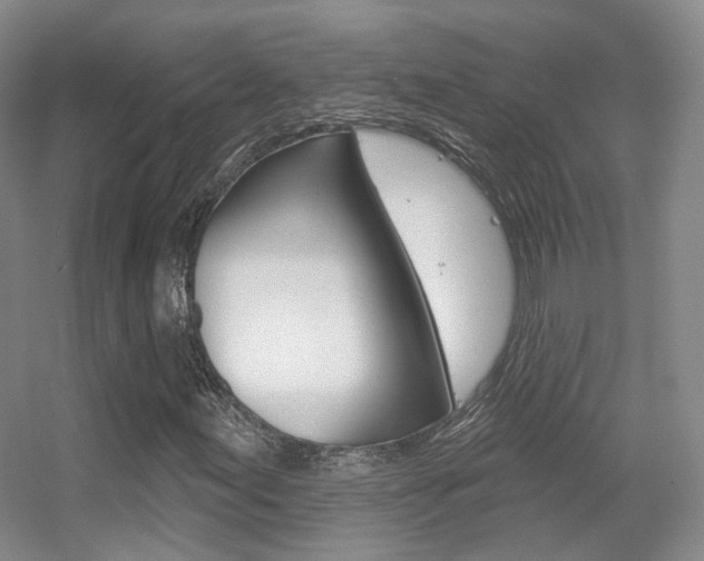 X0000055521155200508120814