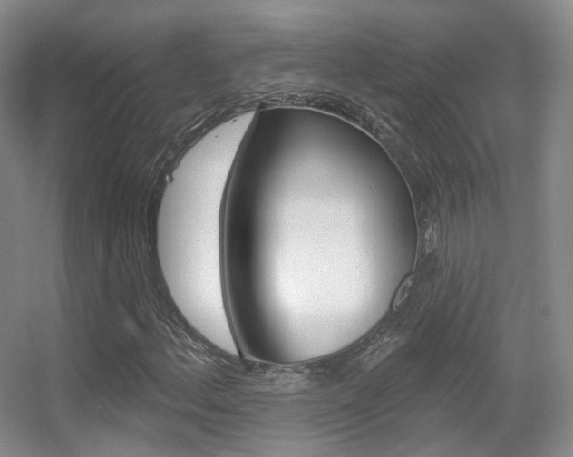 X0000055521156200508120814