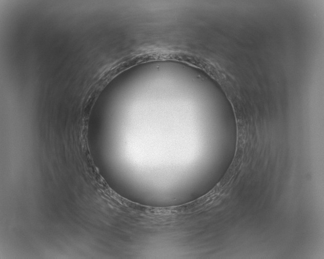 X0000055521157200508120814