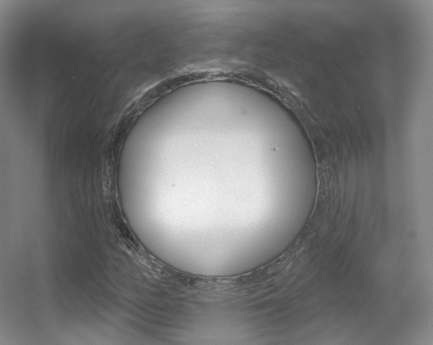 X0000055521158200508120814