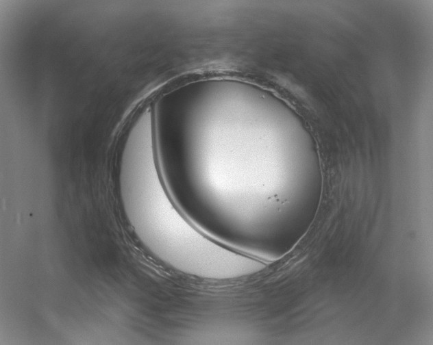 X0000055521160200508120814