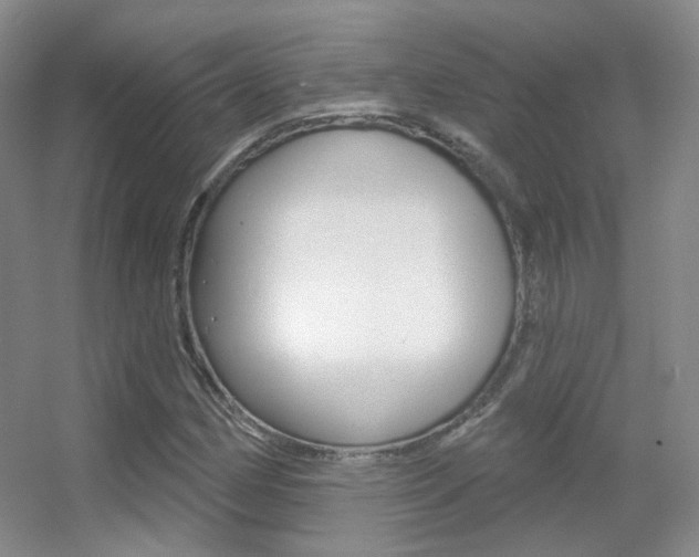 X0000055521162200508120814