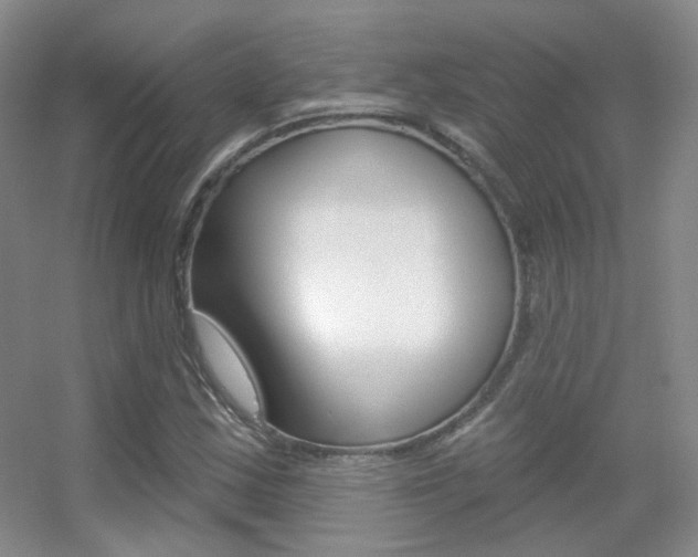X0000055521163200508120814