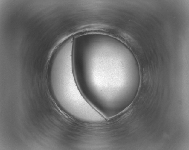 X0000055521164200508120814