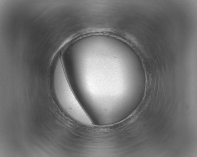 X0000055521165200508120814