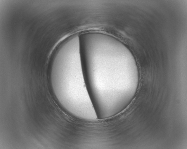 X0000055521166200508120814