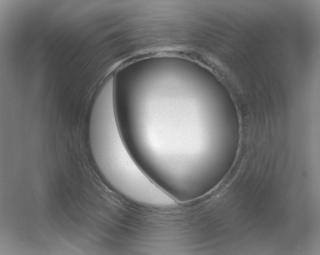 X0000055521169200508120814