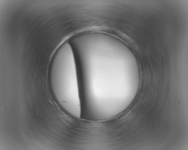 X0000055521170200508120814