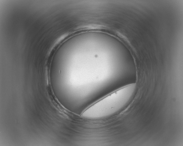 X0000055521171200508120814