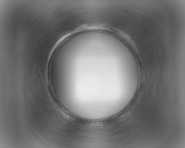 X0000055521174200508120814