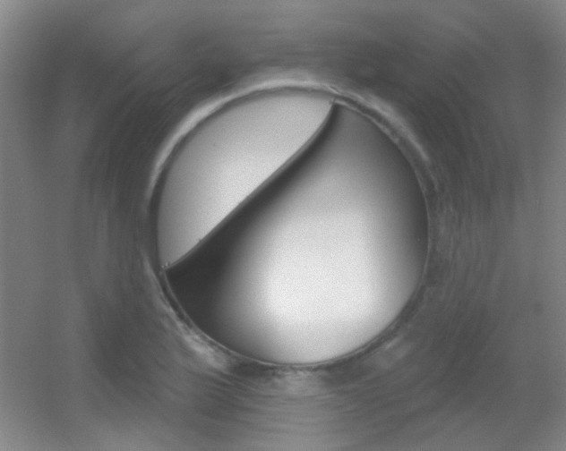 X0000055521175200508120814