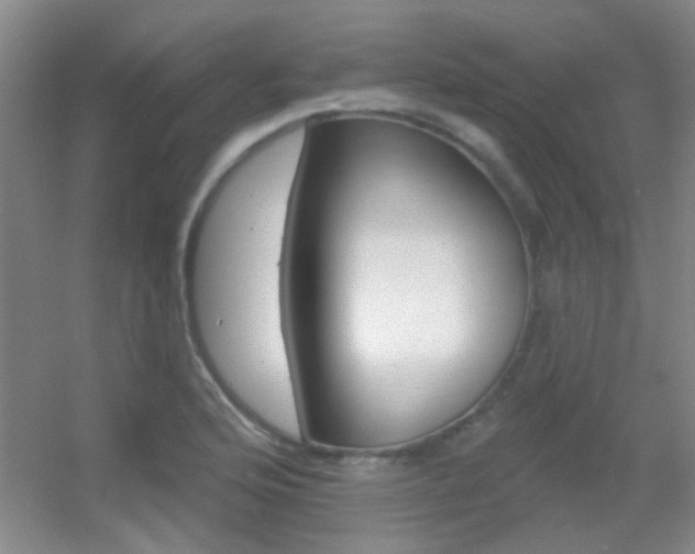 X0000055521176200508120814
