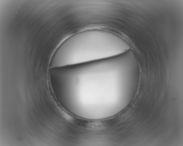 X0000055521186200508120814