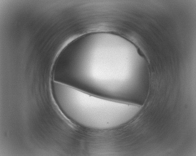X0000055521187200508120814