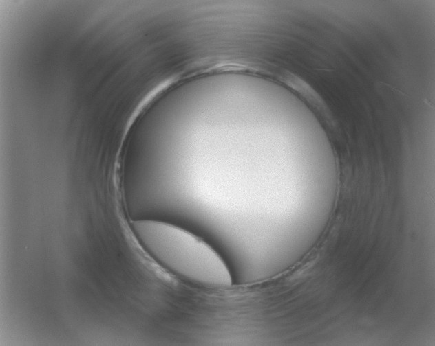 X0000055521190200508120814