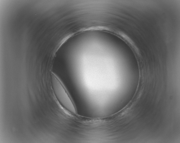 X0000055521193200508120814