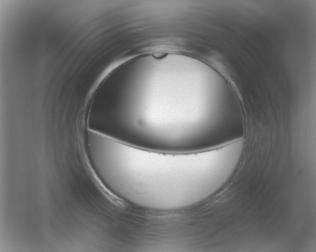 X0000055521195200508120813