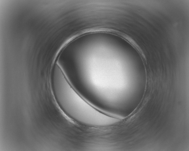X0000055521197200508120813