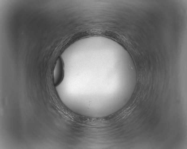 X0000055521201200508120813