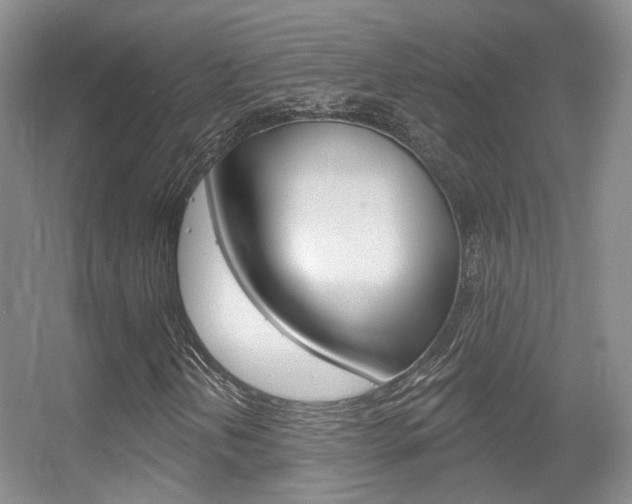 X0000055521202200508120813
