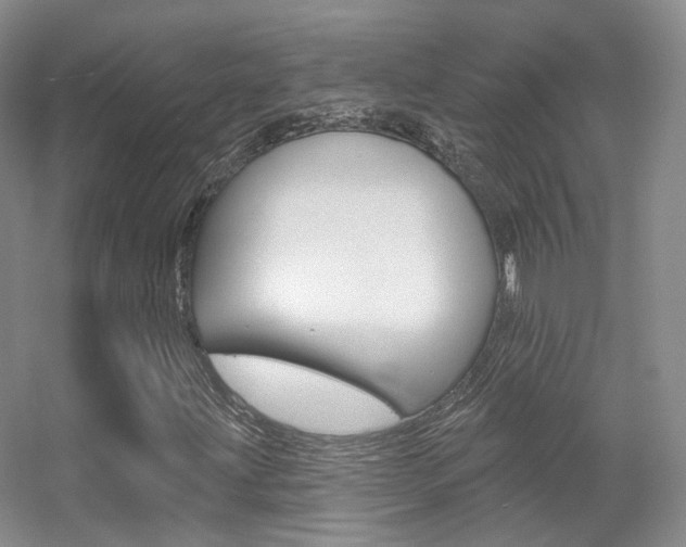 X0000055521203200508120813