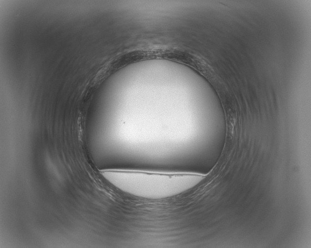 X0000055521204200508120813