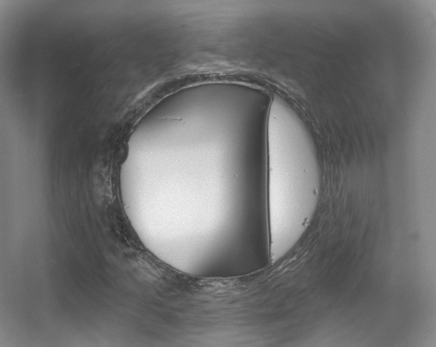 X0000055521205200508120813