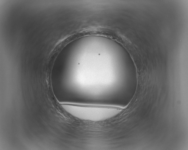 X0000055521206200508120813
