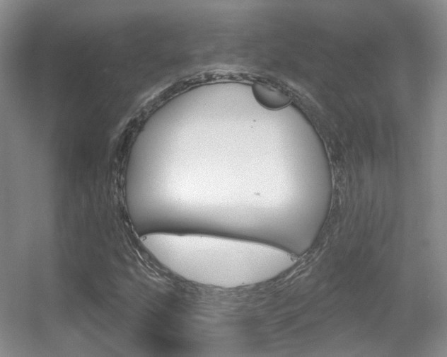 X0000055521207200508120813