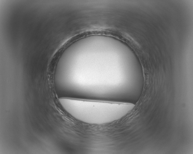 X0000055521208200508120813