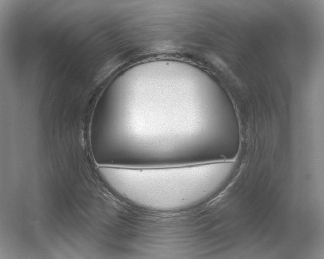 X0000055521209200508120813