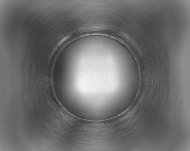 X0000055521210200508120813
