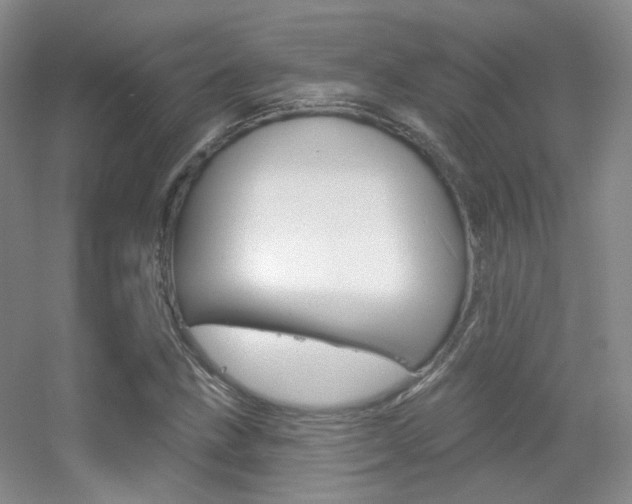 X0000055521211200508120813
