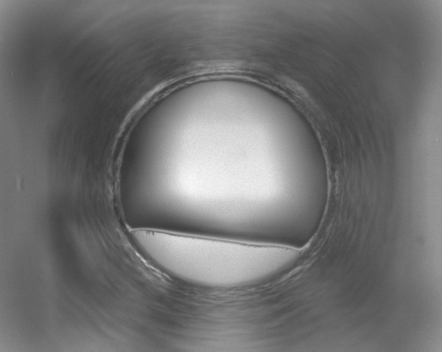 X0000055521212200508120813
