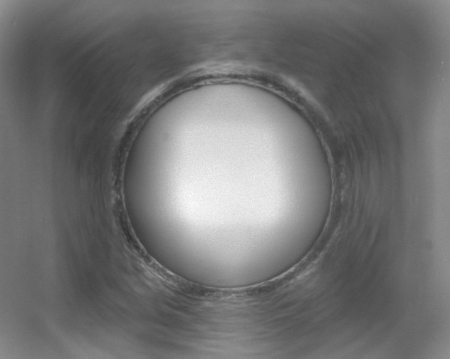 X0000055521213200508120813