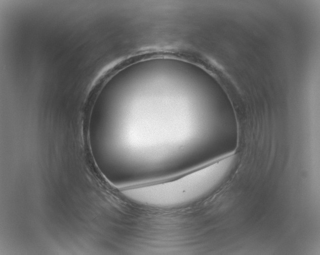 X0000055521214200508120813