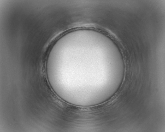 X0000055521215200508120813