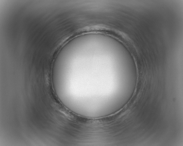X0000055521217200508120813