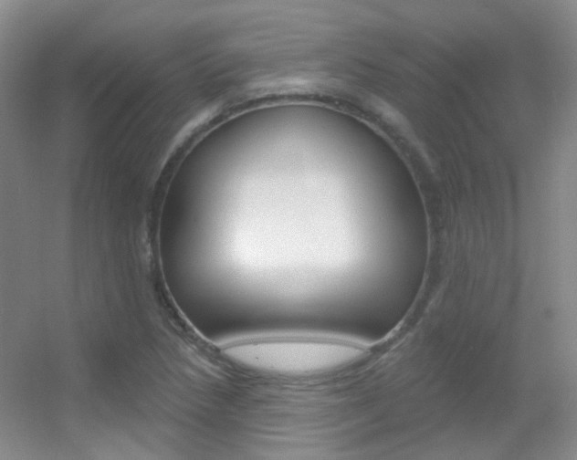 X0000055521218200508120813